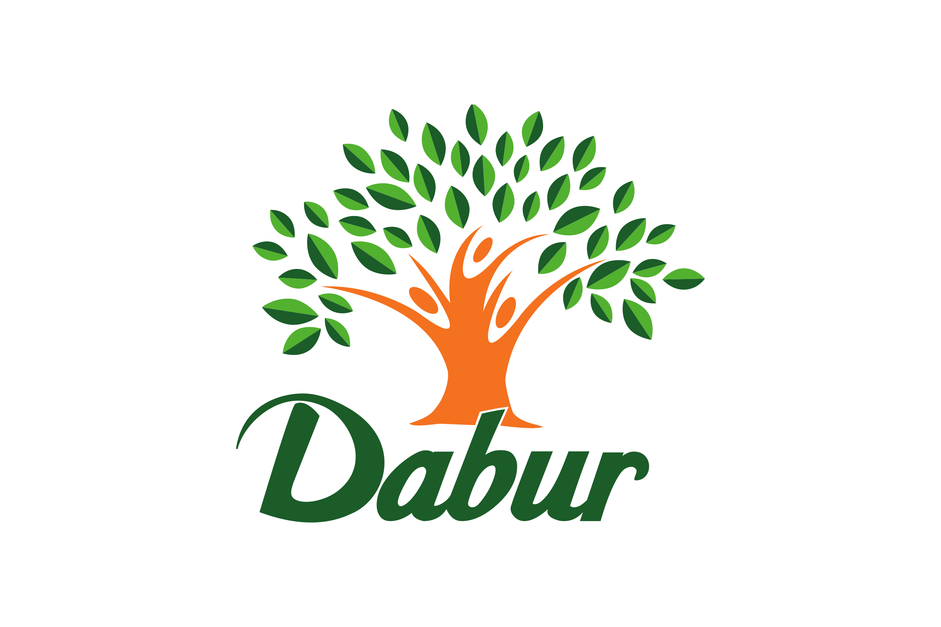 dabur